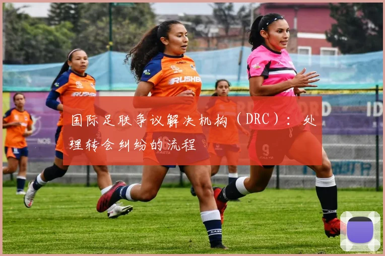 国际足联争议解决机构（DRC）：处理转会纠纷的流程